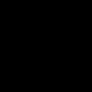 Meet your Posher, Tyree